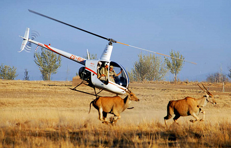 Вертолет Robinson R22 Beta II